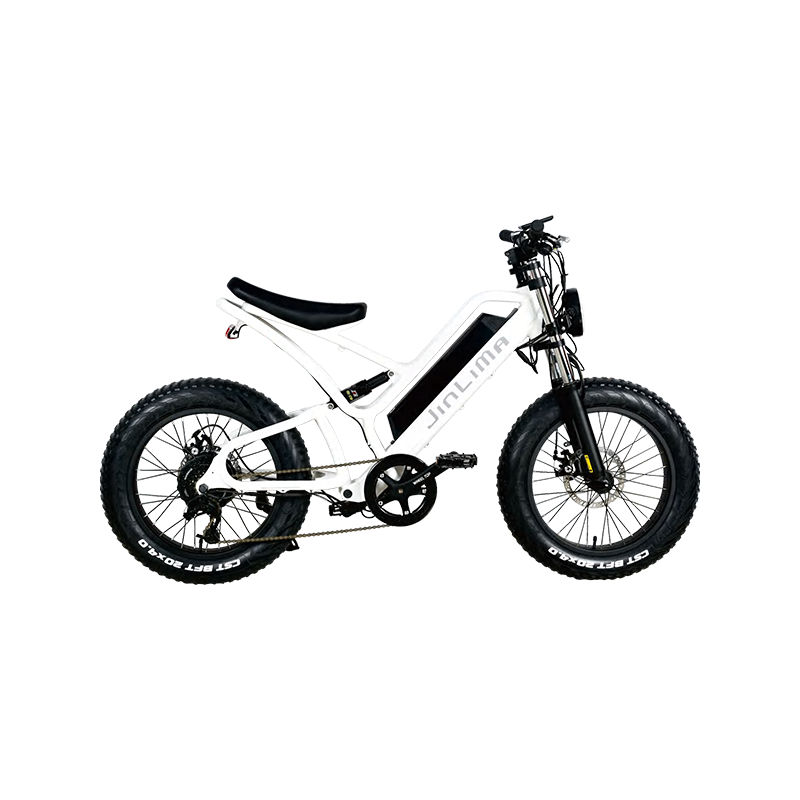 HYB-030 20 "E-BIKE E-BIKE