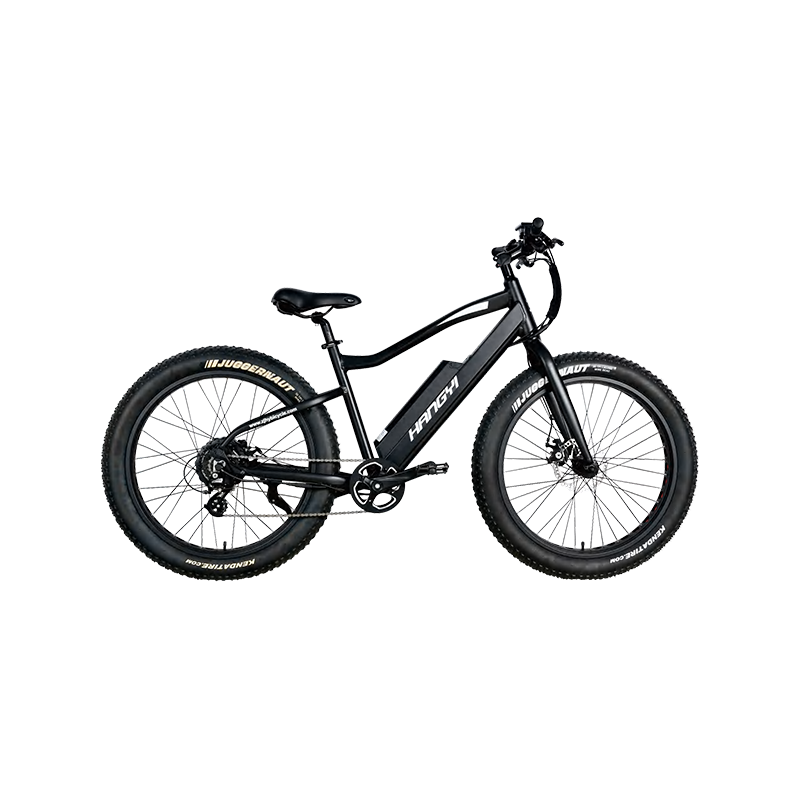 Care sunt diferențele cheie între bicicletele de munte cu suspensiune și cu suspensie completă?
