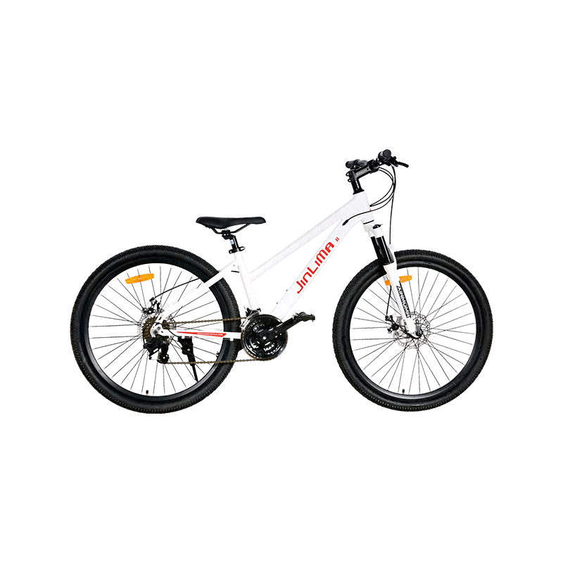 Bicicleta de 26 inci: o alegere echilibrată pentru călărie versatilă