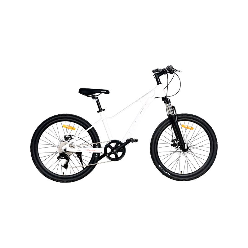 Care sunt cele mai importante caracteristici de siguranță pe care trebuie să le luați în considerare atunci când achiziționați o bicicletă de munte?
